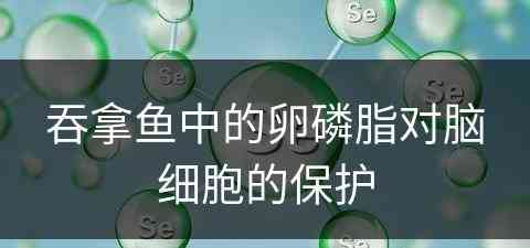 吞拿鱼中的卵磷脂对脑细胞的保护